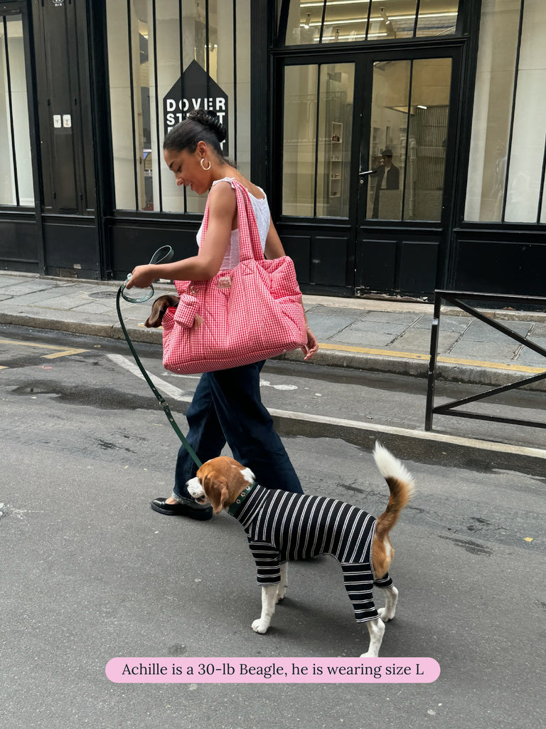 Little Beast Dog Stripe Onesie Café in Paris Onesie