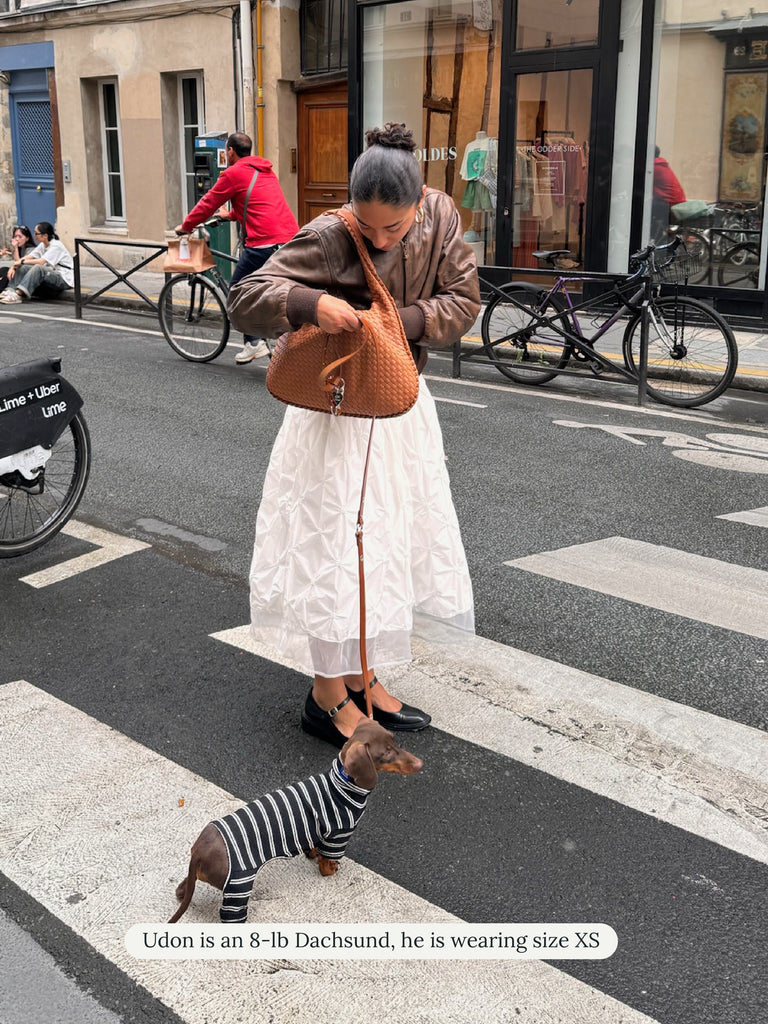 Little Beast Dog Stripe Onesie Café in Paris Onesie
