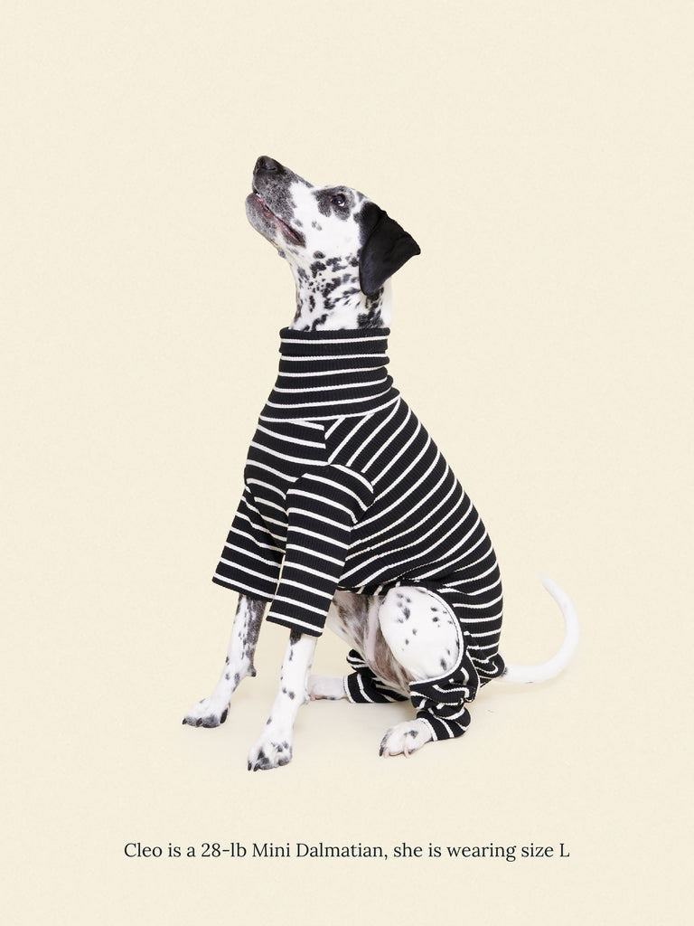 Little Beast Dog Stripe Onesie Café in Paris Onesie