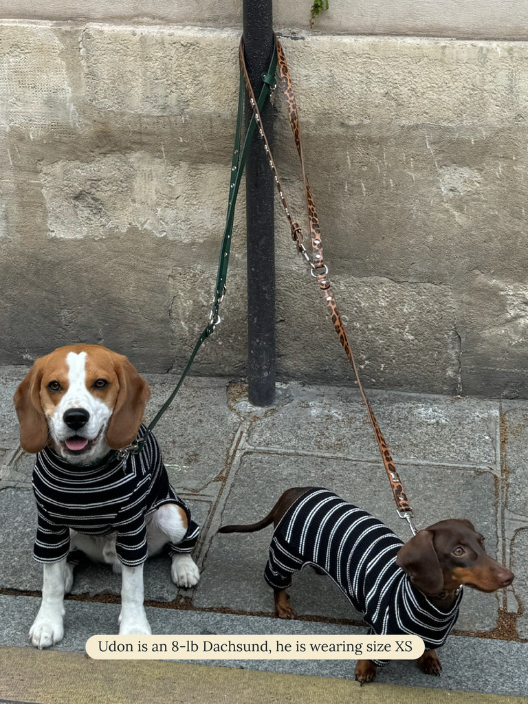 Little Beast Dog Stripe Onesie Café in Paris Onesie