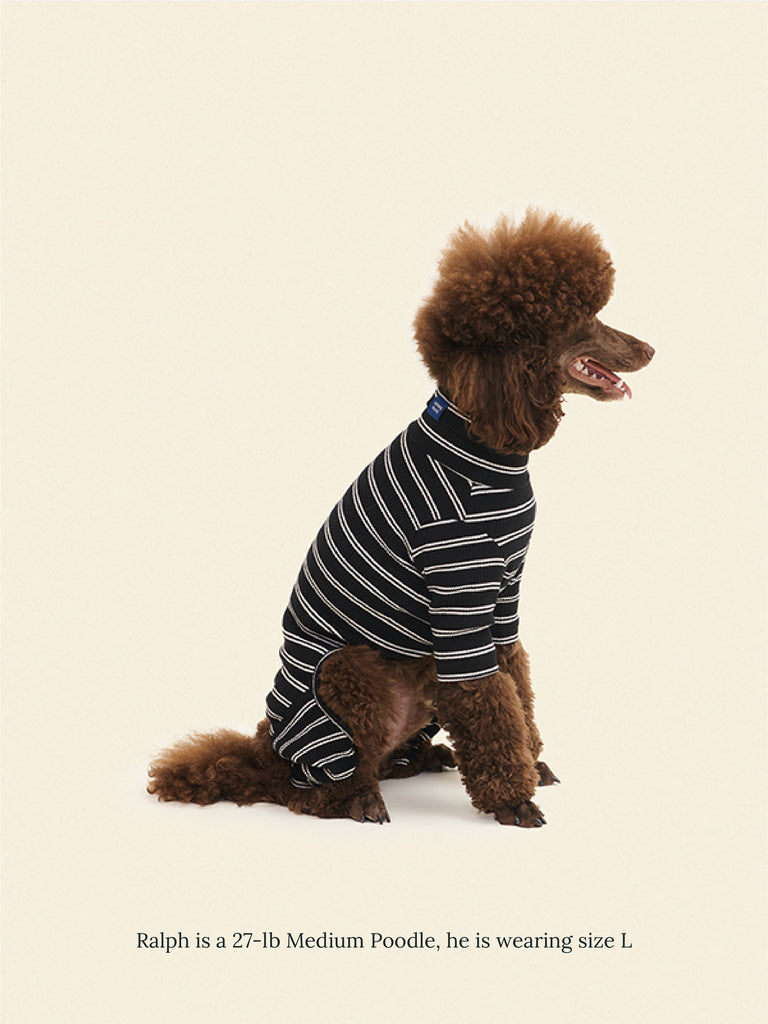 Little Beast Dog Stripe Onesie Café in Paris Onesie