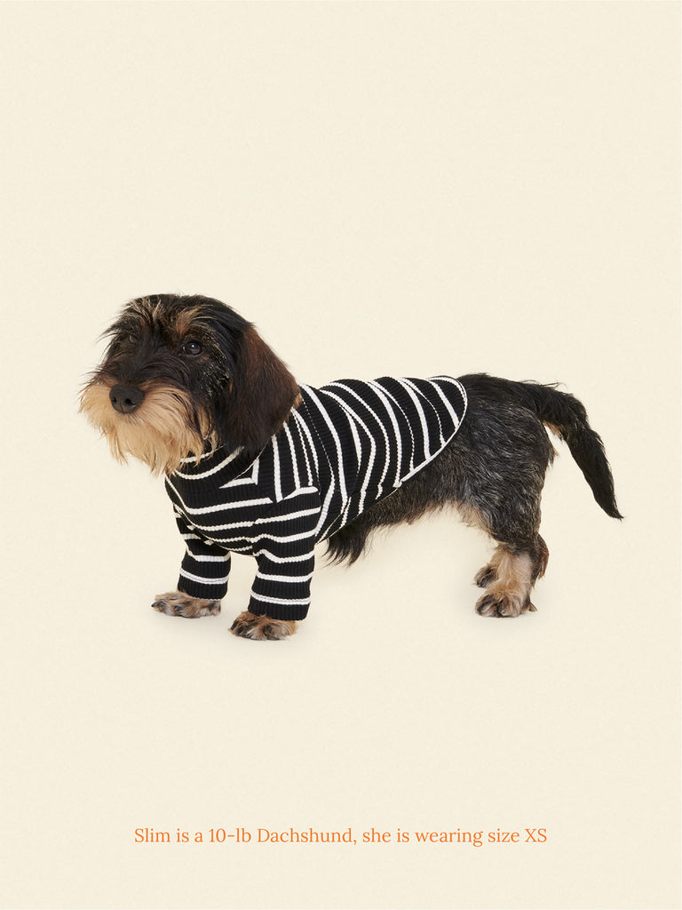 Little Beast Café in Paris Sweatshirt