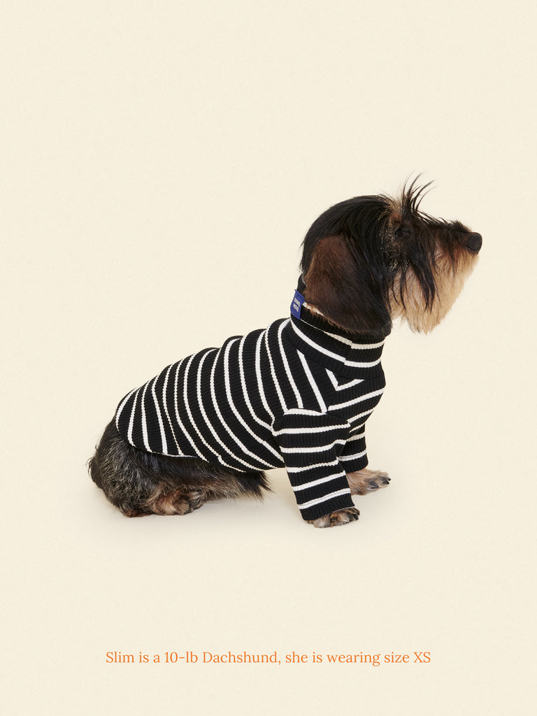 Little Beast Dog Stripe Shirt Café in Paris Sweatshirt