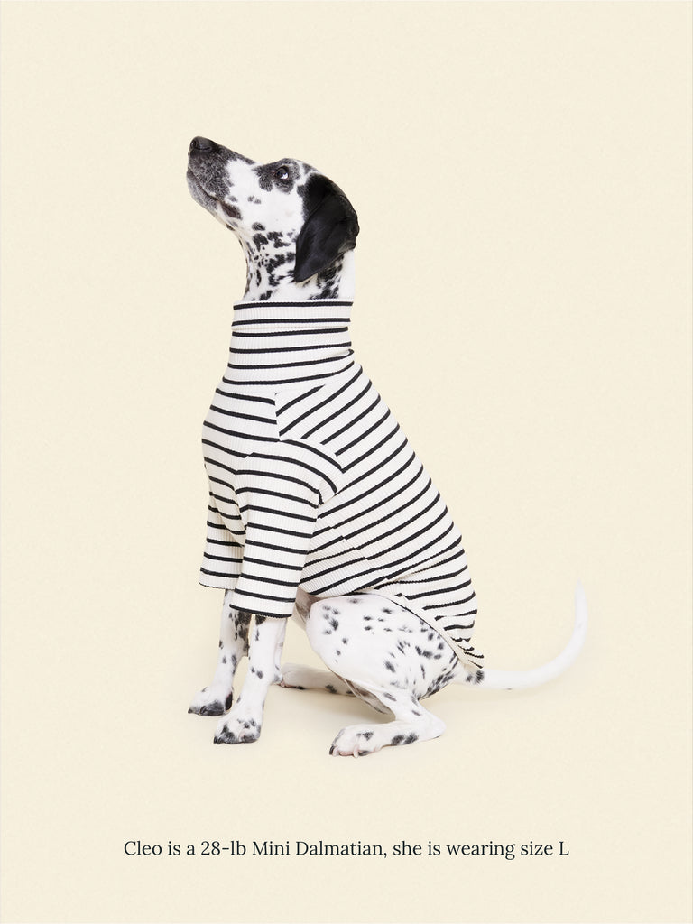 Little Beast Dog Stripe Shirt Café in Paris Sweatshirt