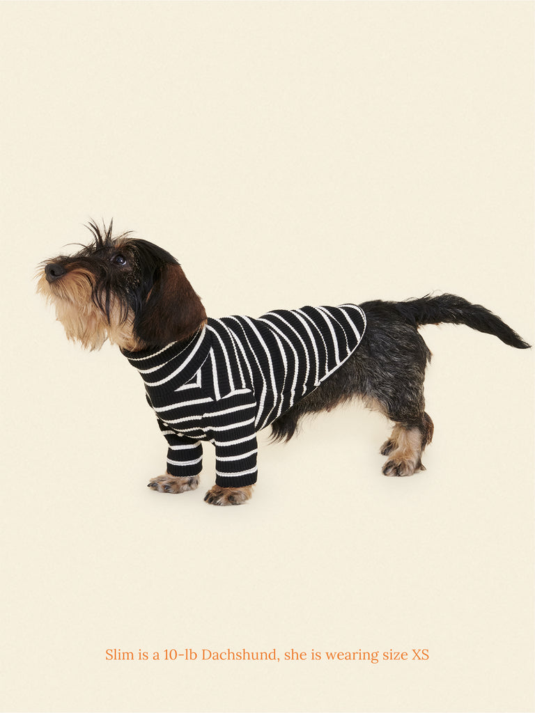 Little Beast Dog Stripe Shirt Café in Paris Sweatshirt