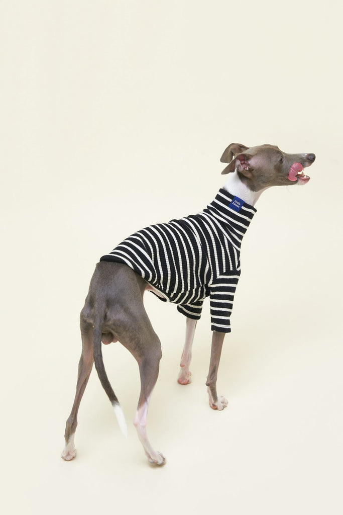 Little Beast Dog Stripe Shirt Café in Paris Sweatshirt