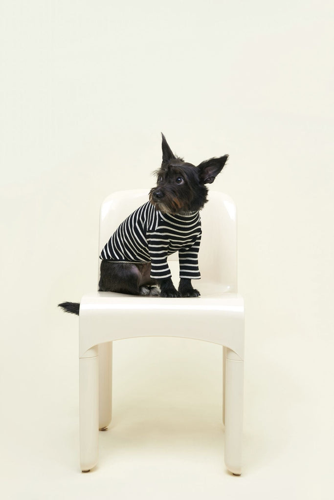 Little Beast Dog Stripe Shirt Café in Paris Sweatshirt