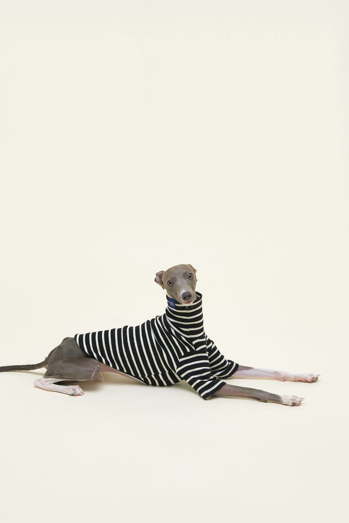 Little Beast Dog Stripe Shirt Café in Paris Sweatshirt