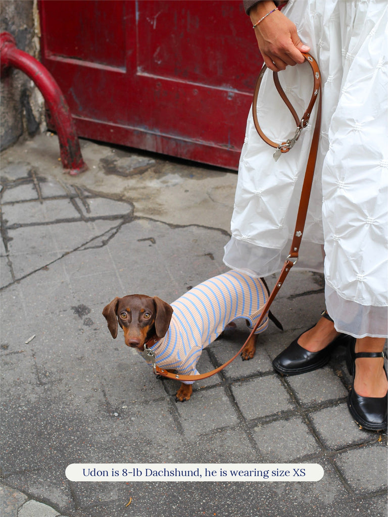 Little Beast Dog Onesie Catch Me Outside Onesie