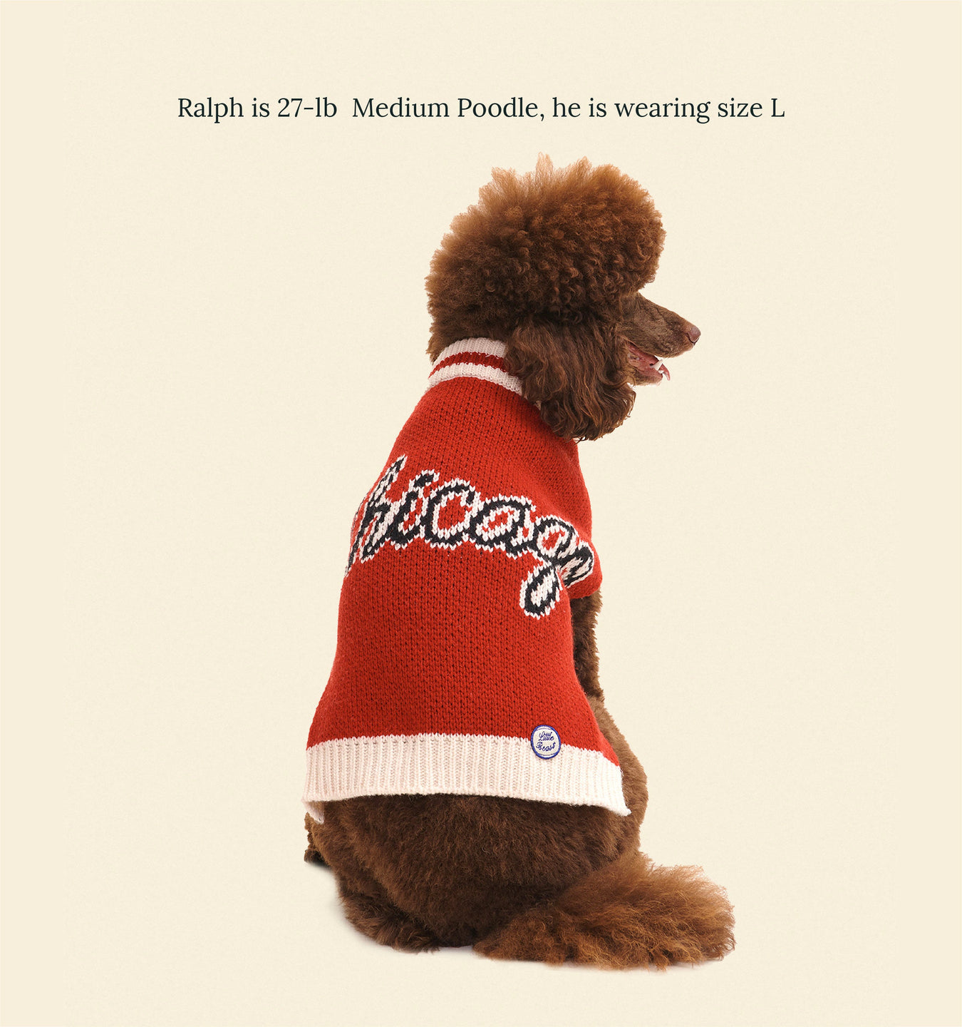 Dog's Life Official True To The Blue Bulls Rugby Hoodie for Dogs main image 1