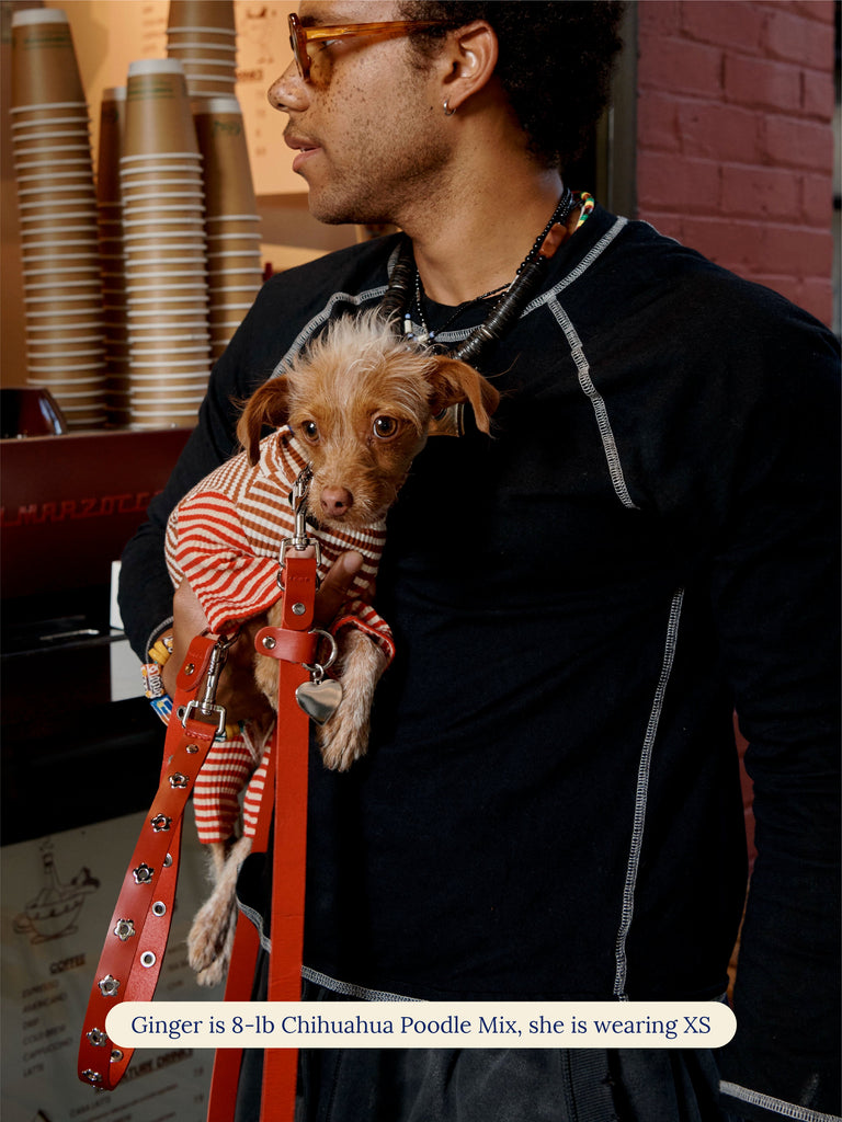 Little Beast Dog Onesie Cinnamon Bun Onesie