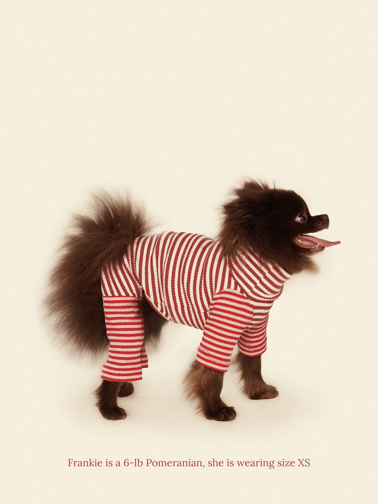 Little Beast Dog Onesie Cinnamon Bun Onesie