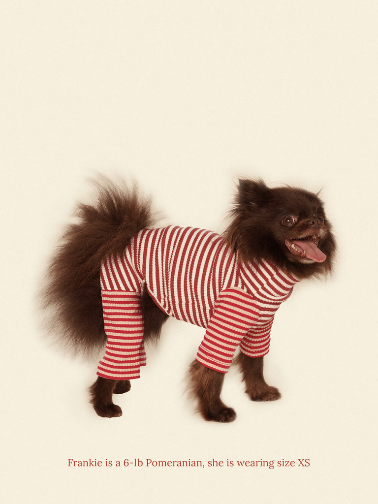 Little Beast Dog Onesie Cinnamon Bun Onesie