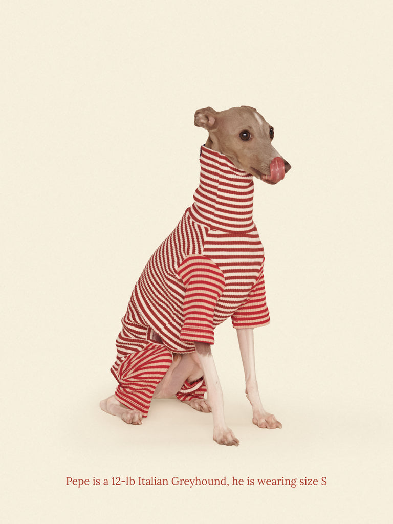 Little Beast Dog Onesie Cinnamon Bun Onesie