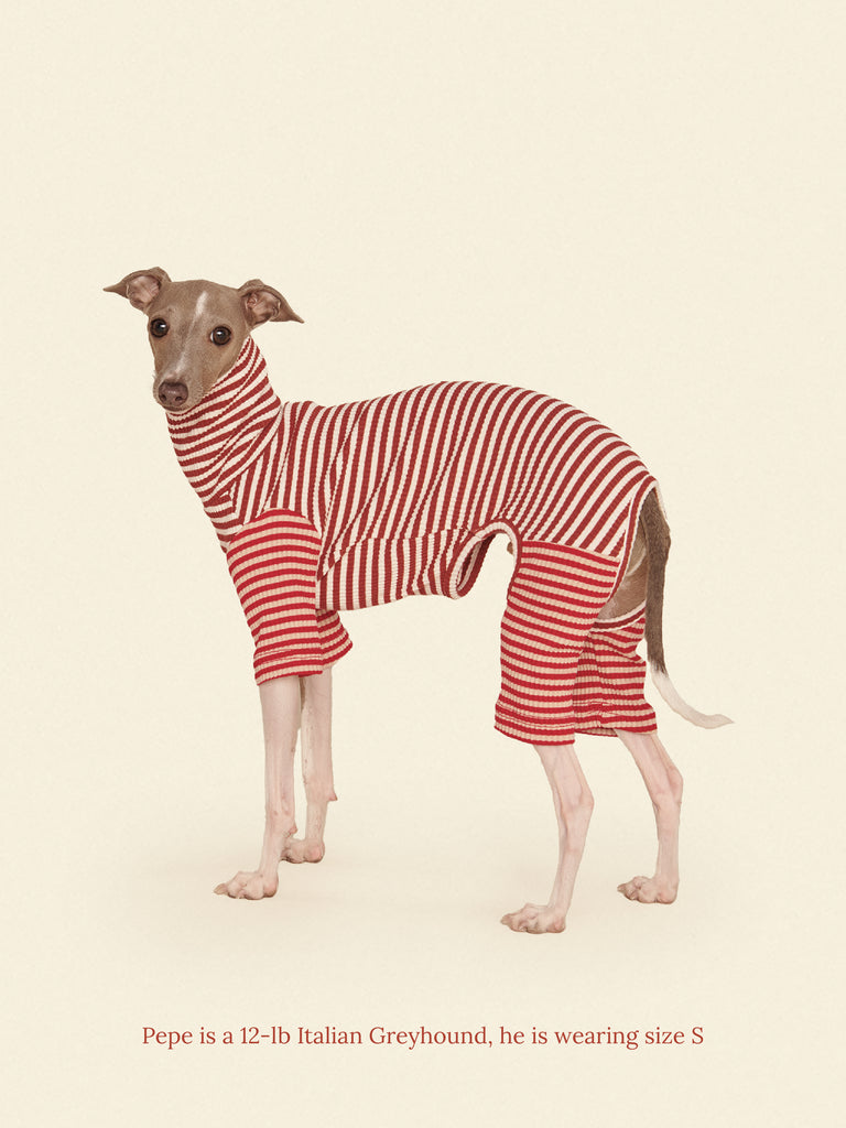 Little Beast Dog Onesie Cinnamon Bun Onesie