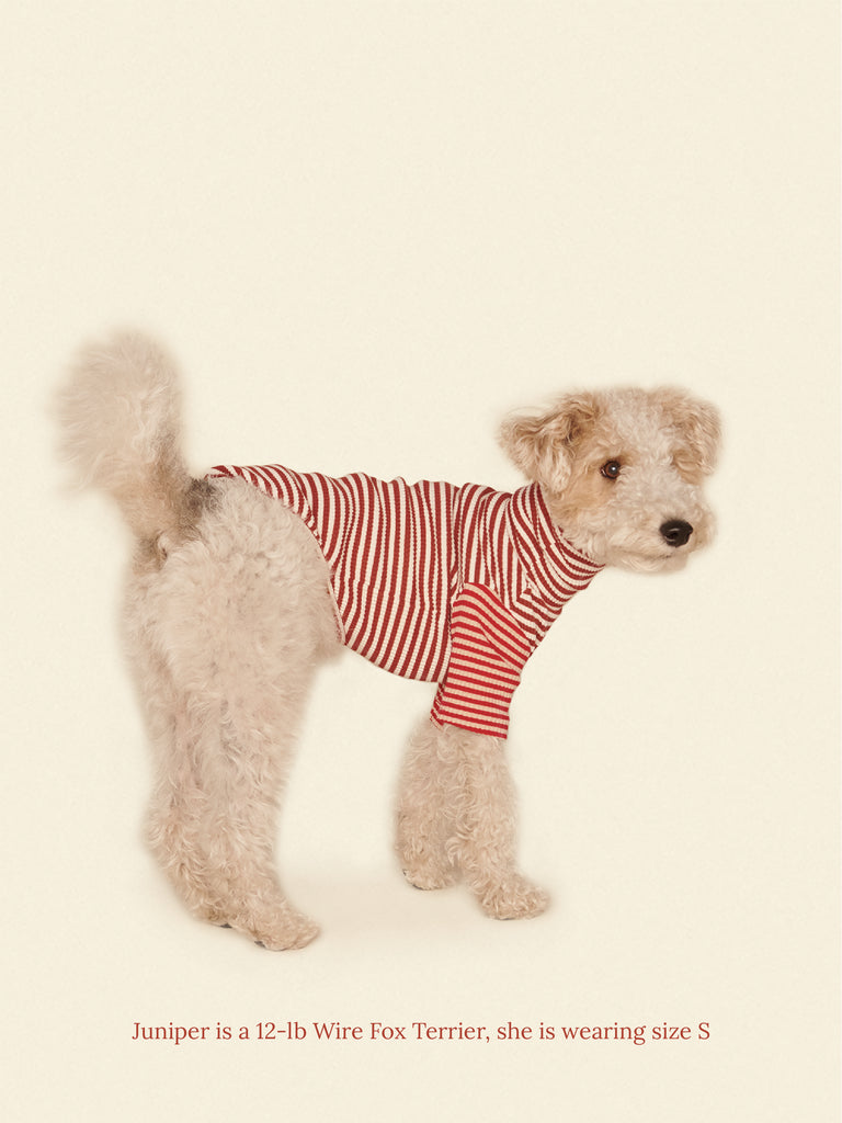 Little Beast Dog Onesie Cinnamon Bun Shirt