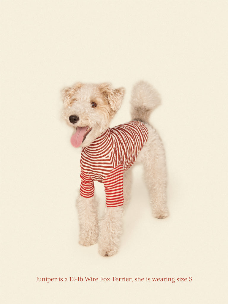 Little Beast Dog Onesie Cinnamon Bun Shirt