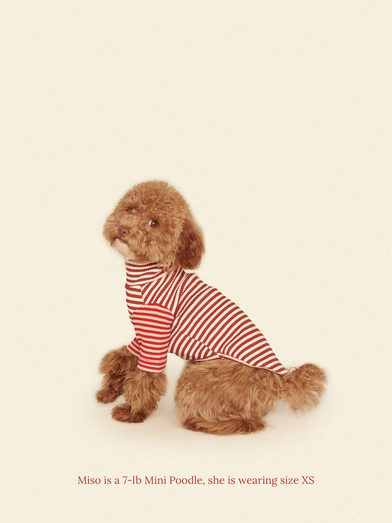 Little Beast Dog Onesie Cinnamon Bun Shirt