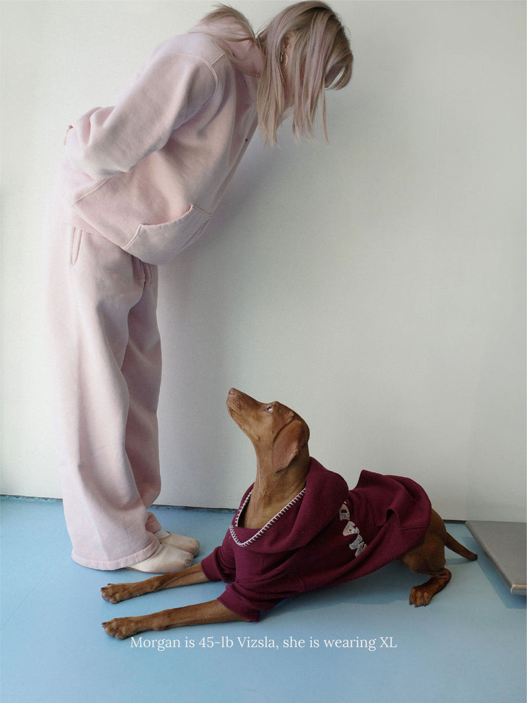 Little Beast Dog Hoodie Classic Fleece Hoodie Bordeaux - MadHappy