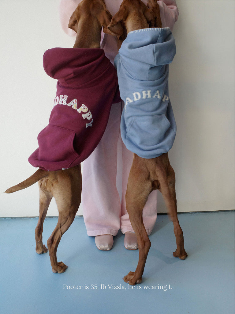 Little Beast Dog Hoodie Classic Fleece Hoodie Frost - MadHappy