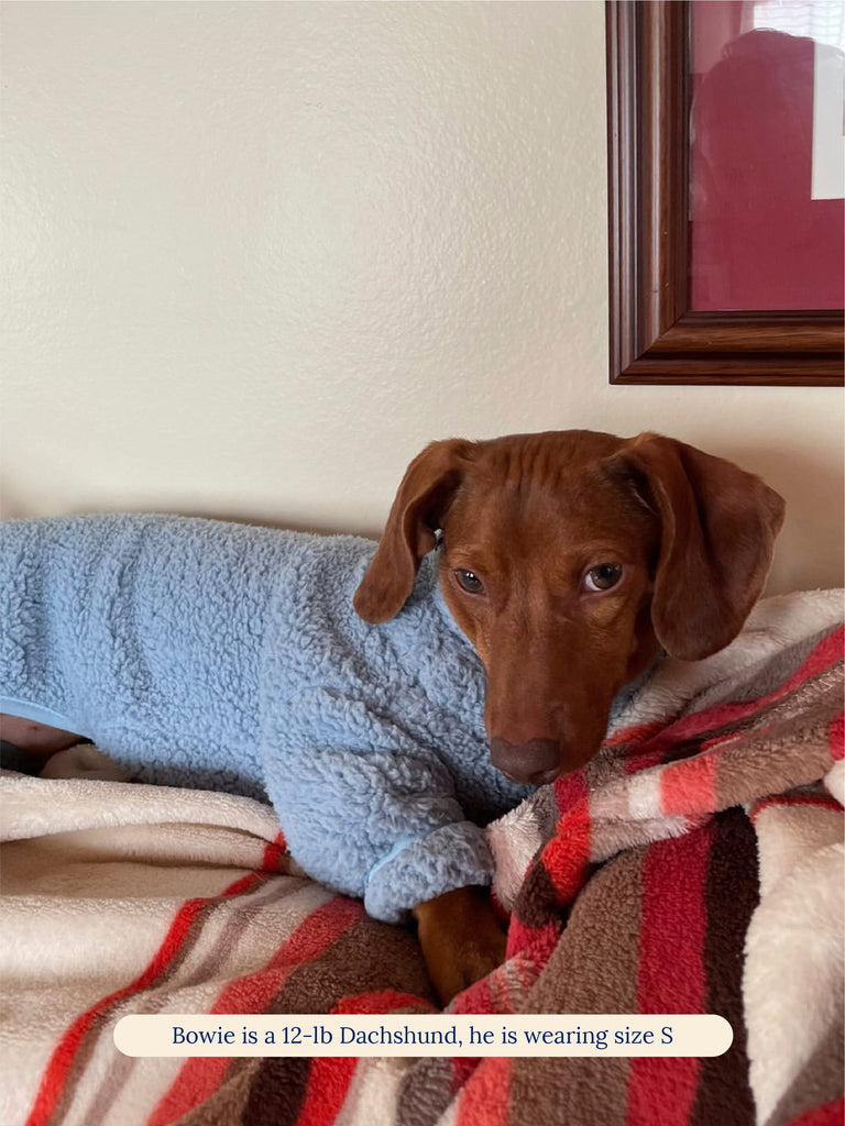Little Beast Dog Fleece Onesie Cloud Nine Fleece Onesie