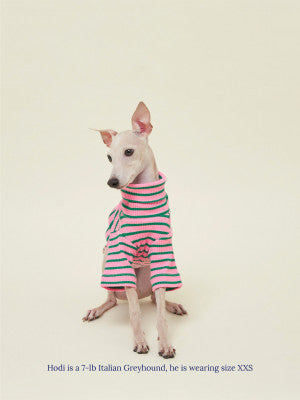 Little Beast Dog Stripe Shirt College Dropout Sweatshirt