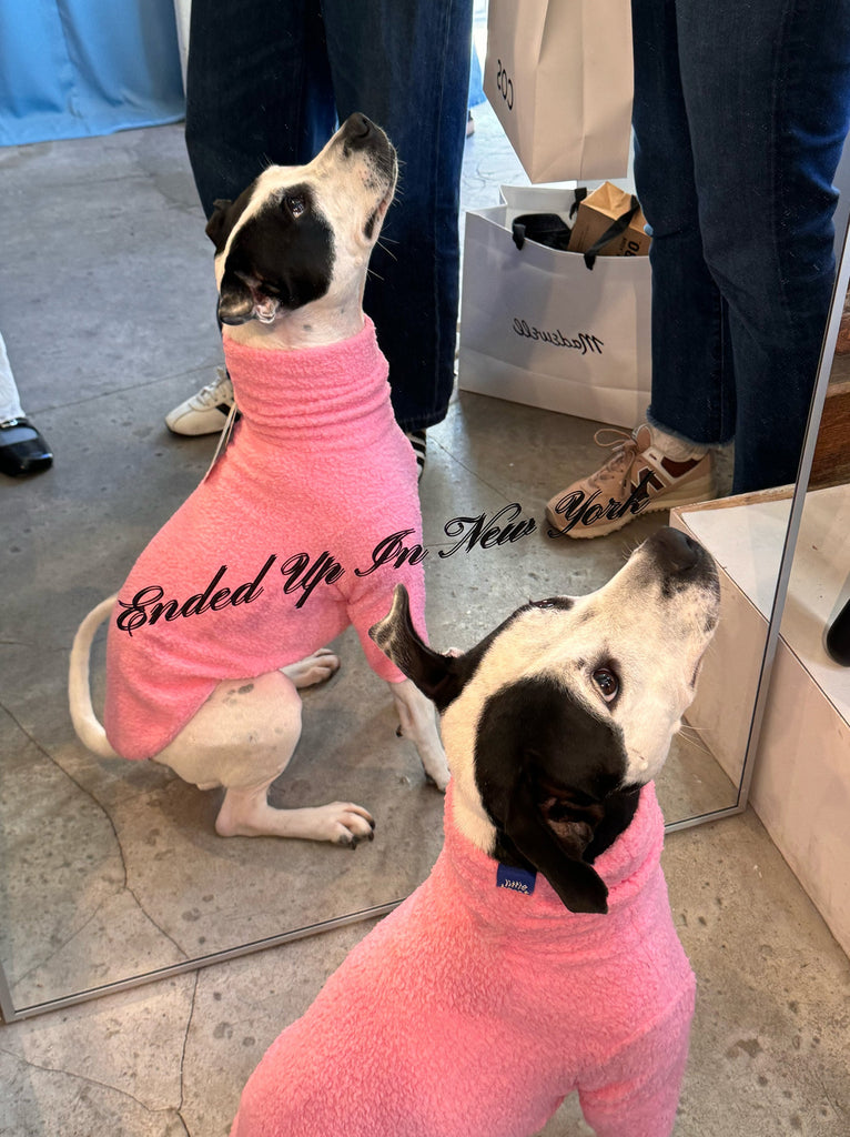 Little Beast Dog Fleece Shirt Cotton Candy Fleece Shirt