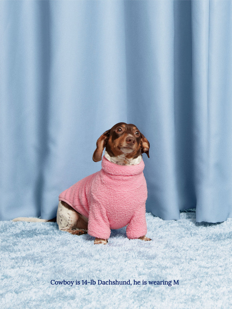 Little Beast Dog Fleece Shirt Cotton Candy Fleece Shirt