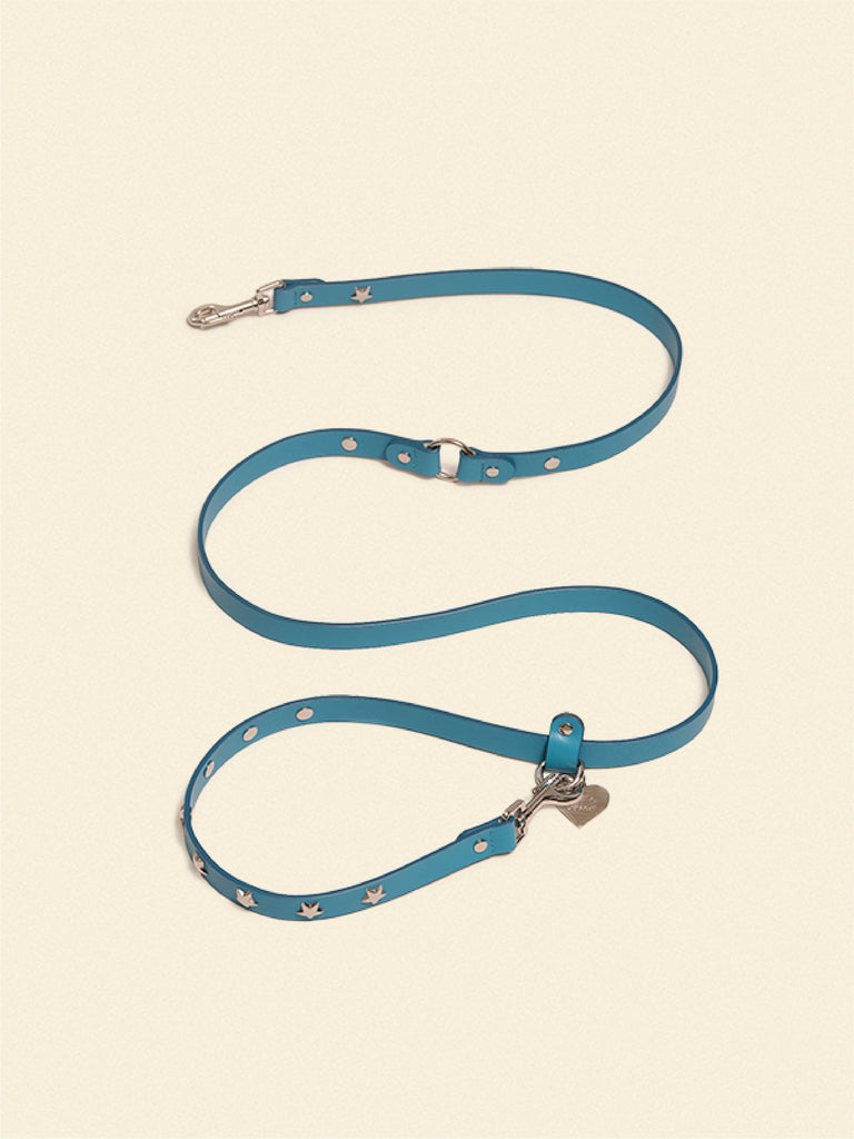 Little Beast Dog Leash ONESIZE Cowboy Leash - Aqua