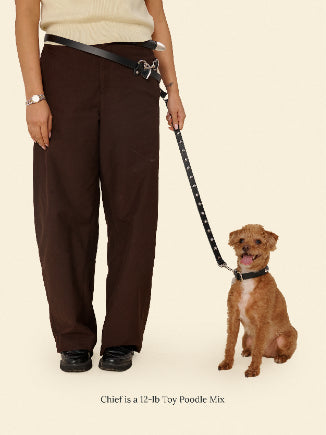 Little Beast Dog Leash Black / OS Cowboy Leash - Midnight