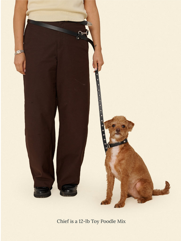 Little Beast Dog Leash Black / OS Cowboy Leash - Midnight