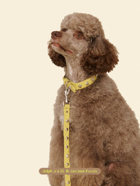 Little Beast Dog Leash Olive / OS Cowboy Leash - Olive