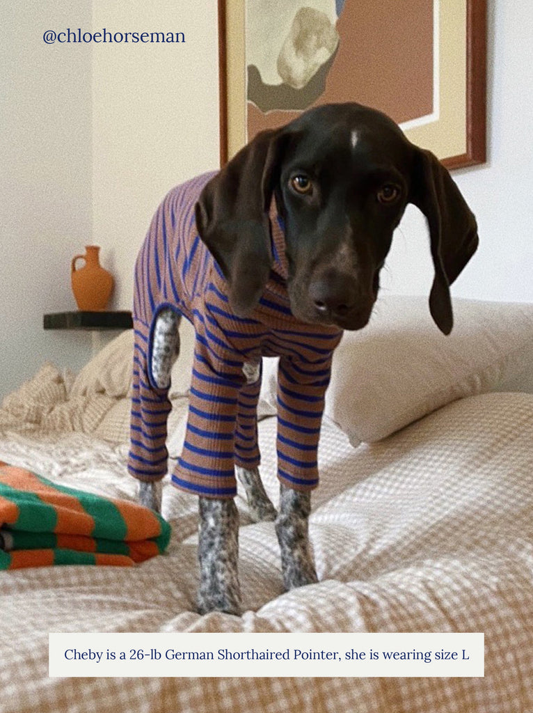 Little Beast Dog Stripe Onesie Dark and Stormy Onesie