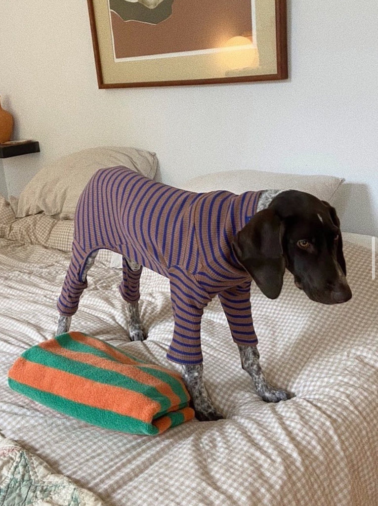 Little Beast Dog Stripe Onesie Dark and Stormy Onesie