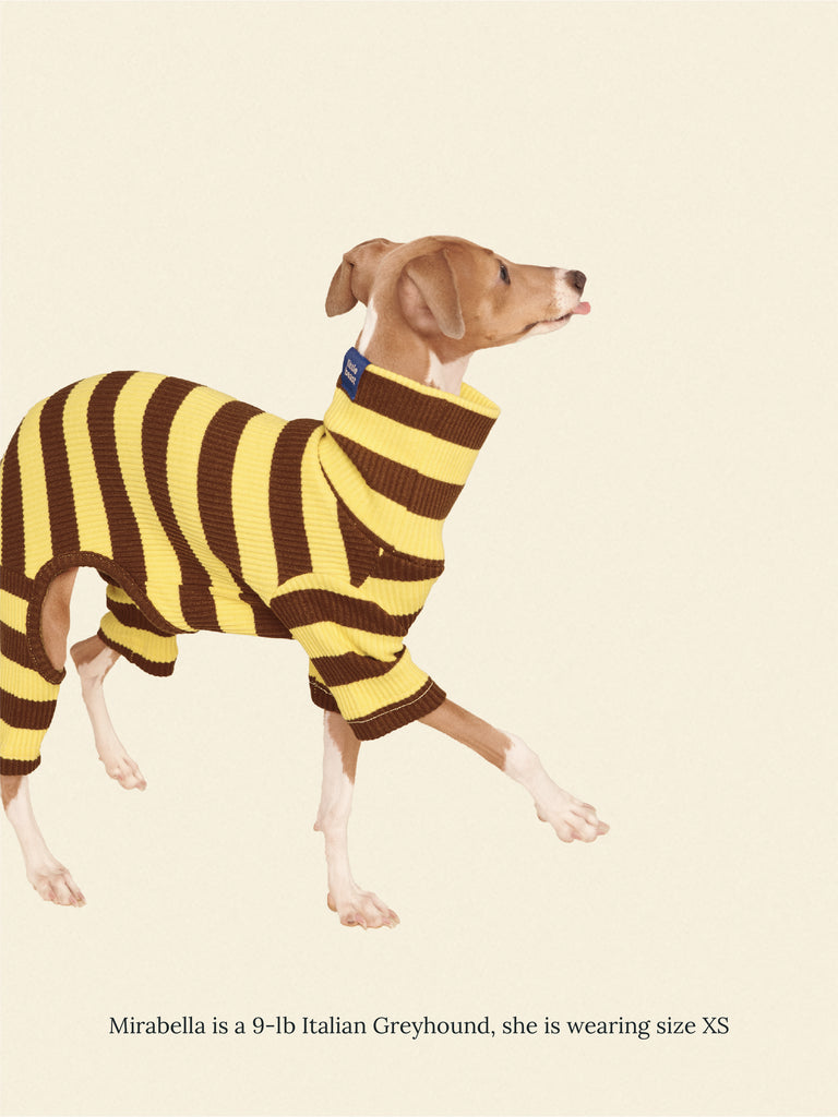 Little Beast Dog Onesie Dijon Onesie