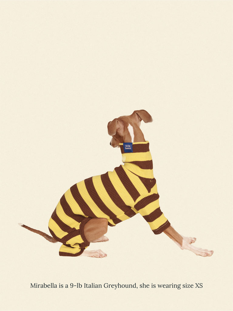 Little Beast Dog Onesie Dijon Onesie