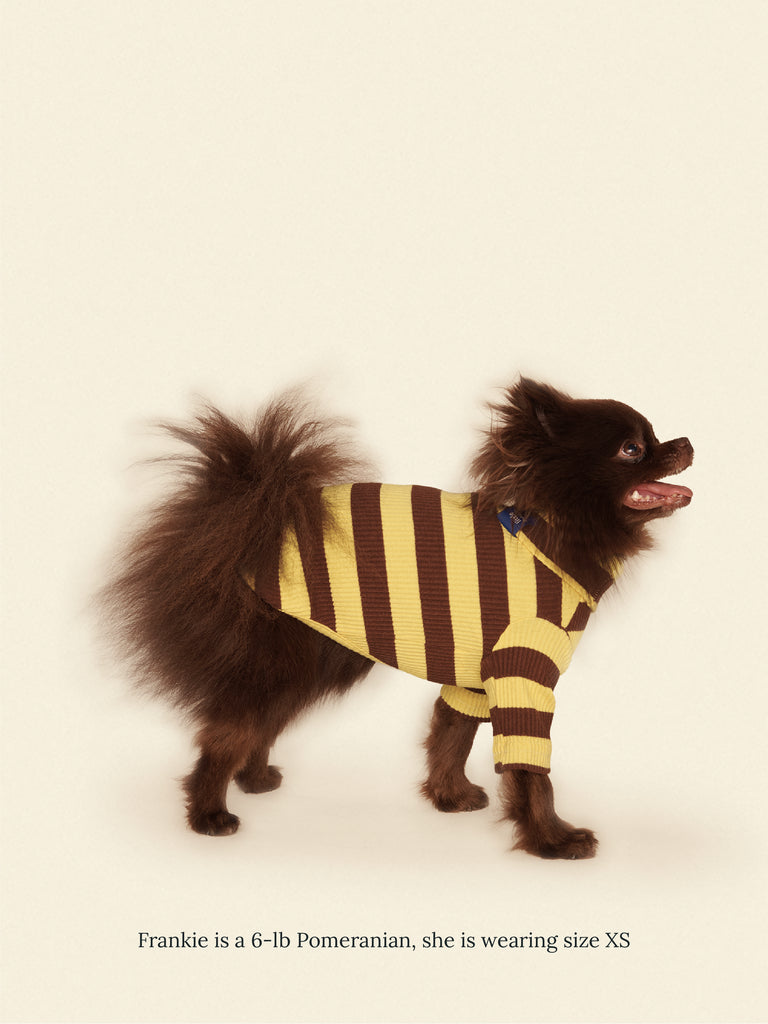 Little Beast Dog Onesie Dijon Shirt