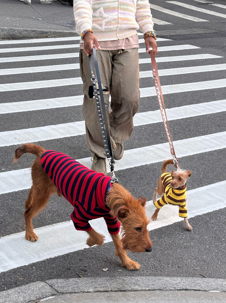 Little Beast Dog Onesie Dijon Shirt