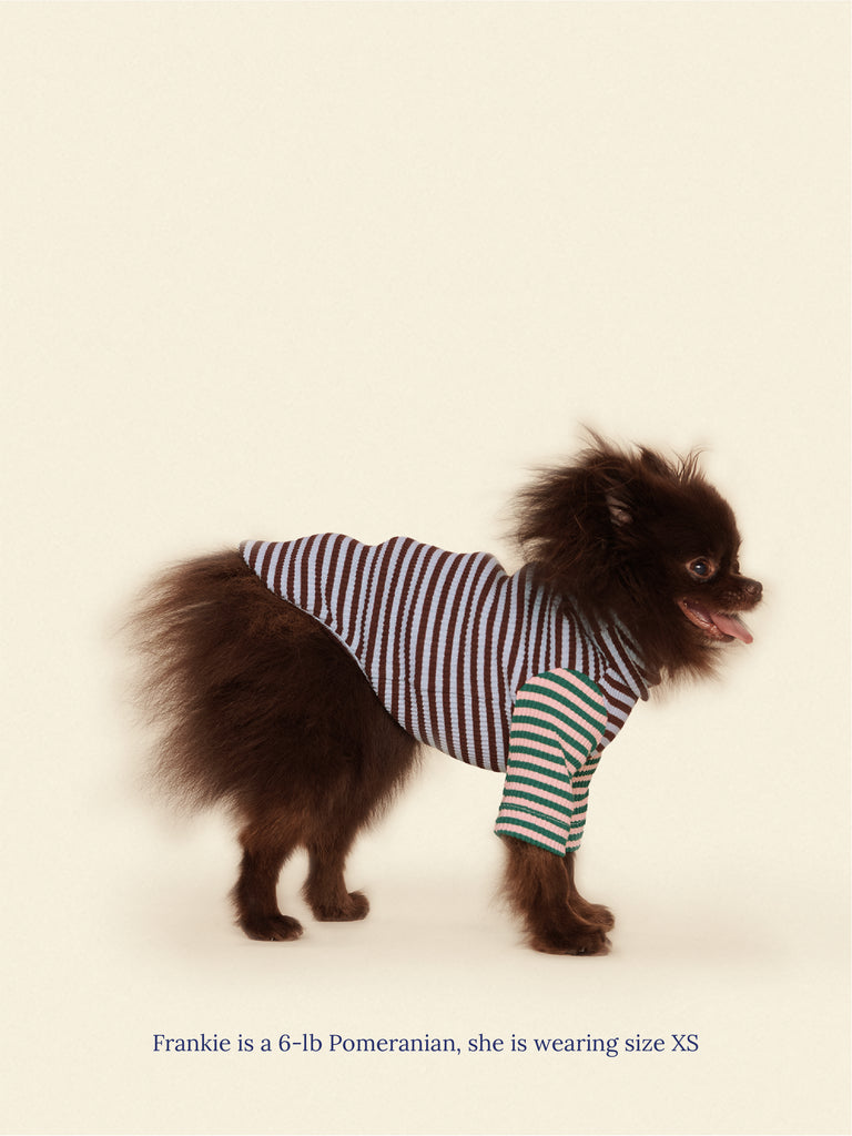 Little Beast Dog Onesie Earth and Sky Shirt
