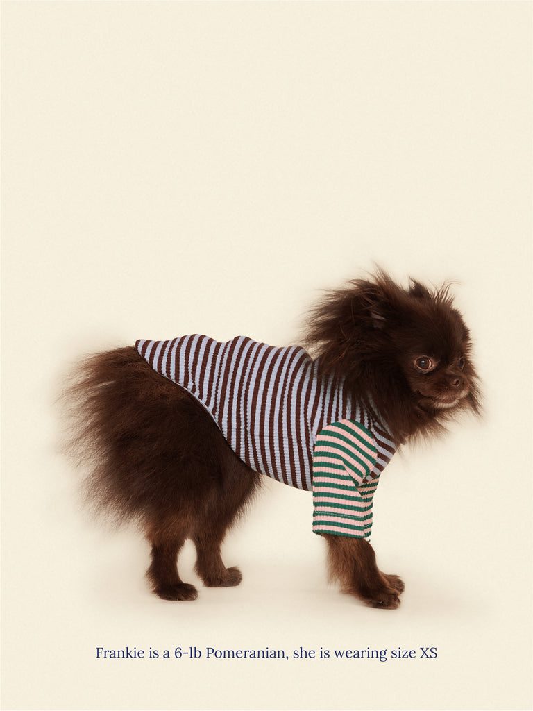 Little Beast Dog Onesie Earth and Sky Shirt