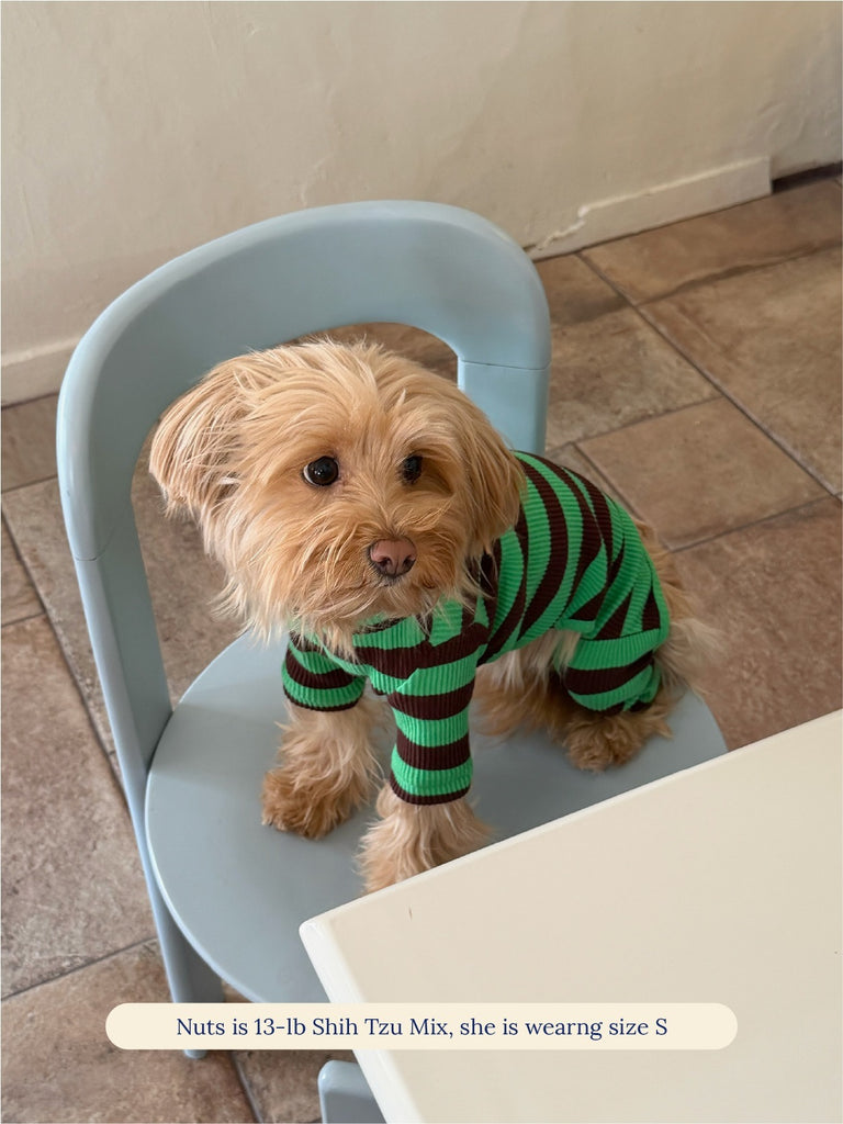 Little Beast Dog Stripe Onesie Earth Onesie