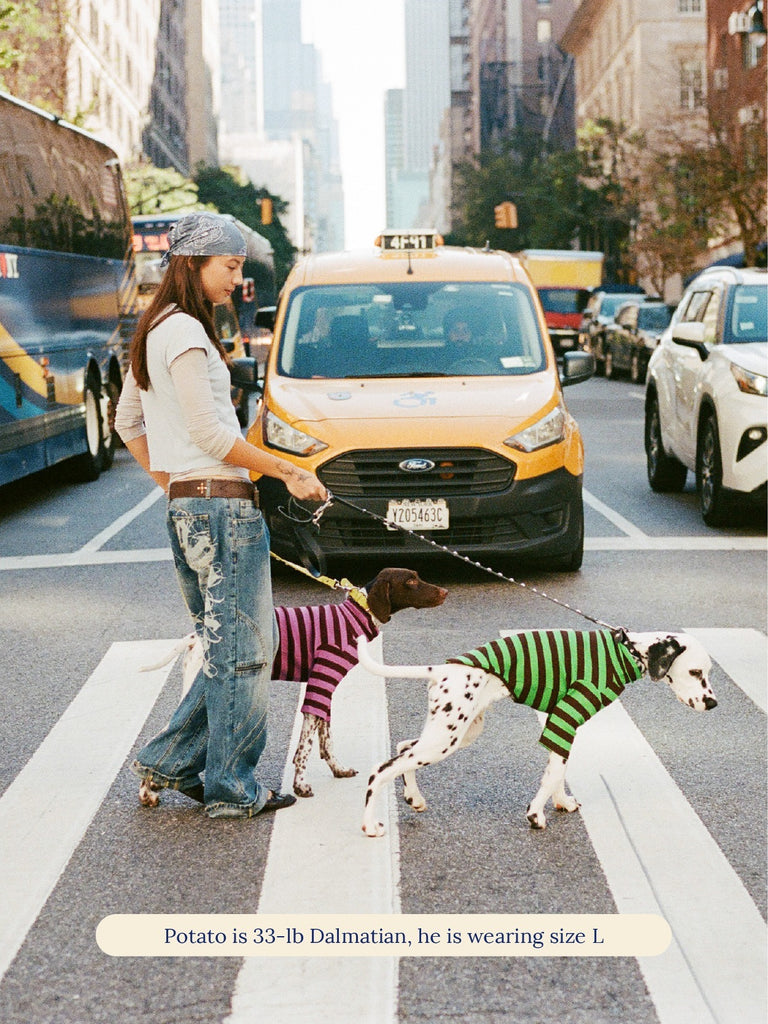 Little Beast Dog Stripe Shirt Earth Shirt