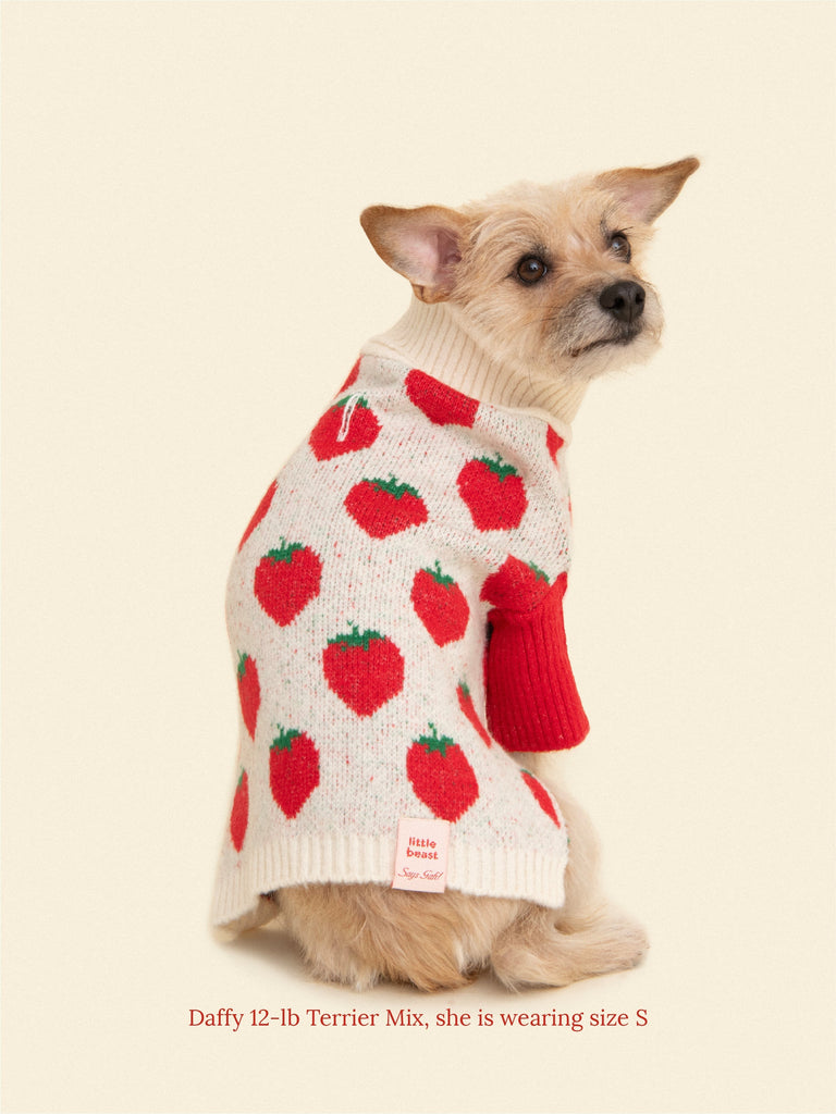 Little Beast Dog Sweater Ella x Lisa Says Gah