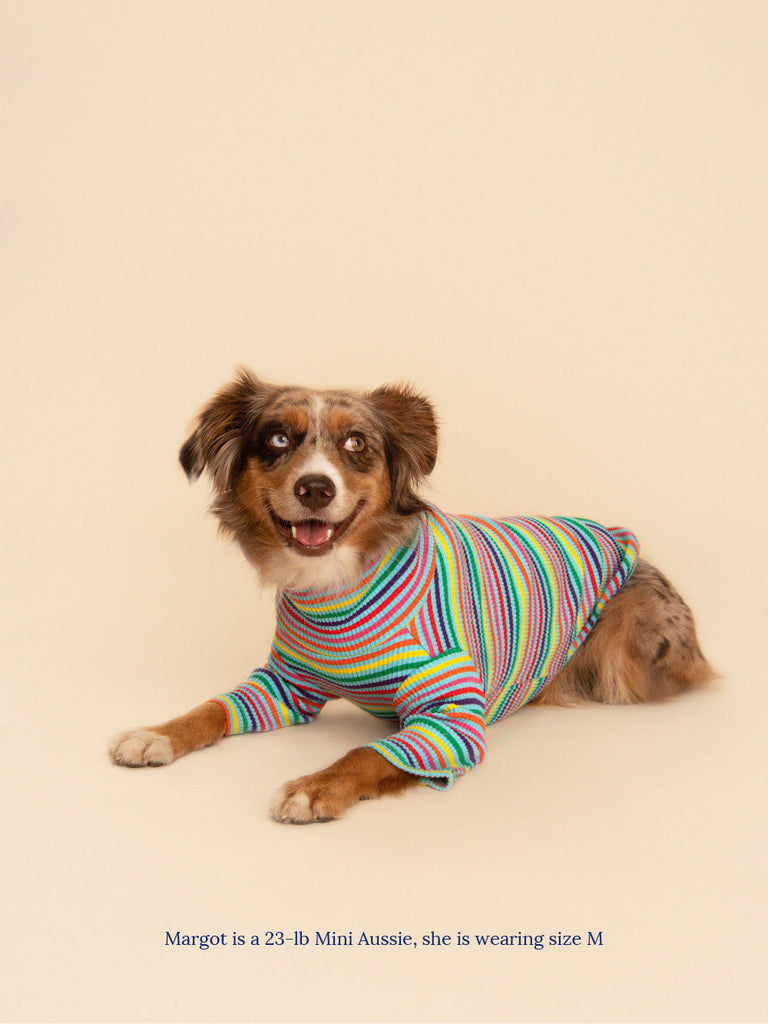 Little Beast Dog Stripe Shirt Fabulous Sweatshirt