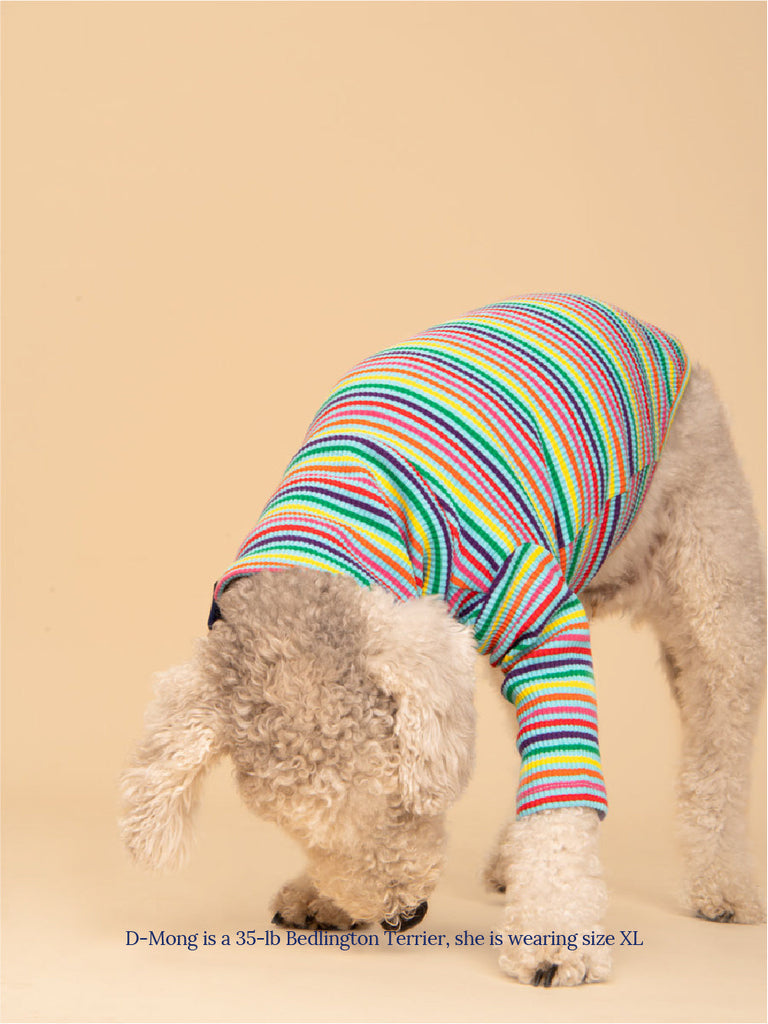 Little Beast Dog Stripe Shirt Fabulous Sweatshirt