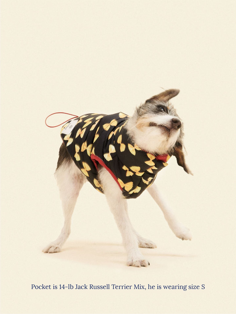 Little Beast Dog Parka Farfalle Puffer Jacket - Rachel Antonoff