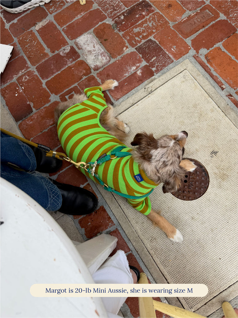 Little Beast Dog Stripe Onesie Fresh Grass Onesie