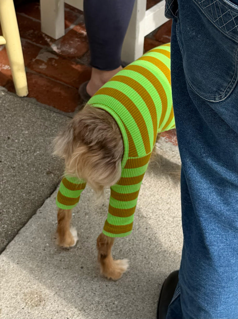 Fresh Grass Onesie – Little Beast