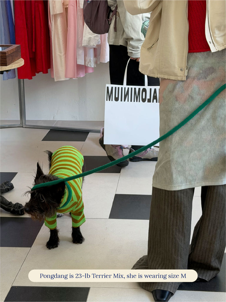 Little Beast Dog Stripe Shirt Fresh Grass Shirt