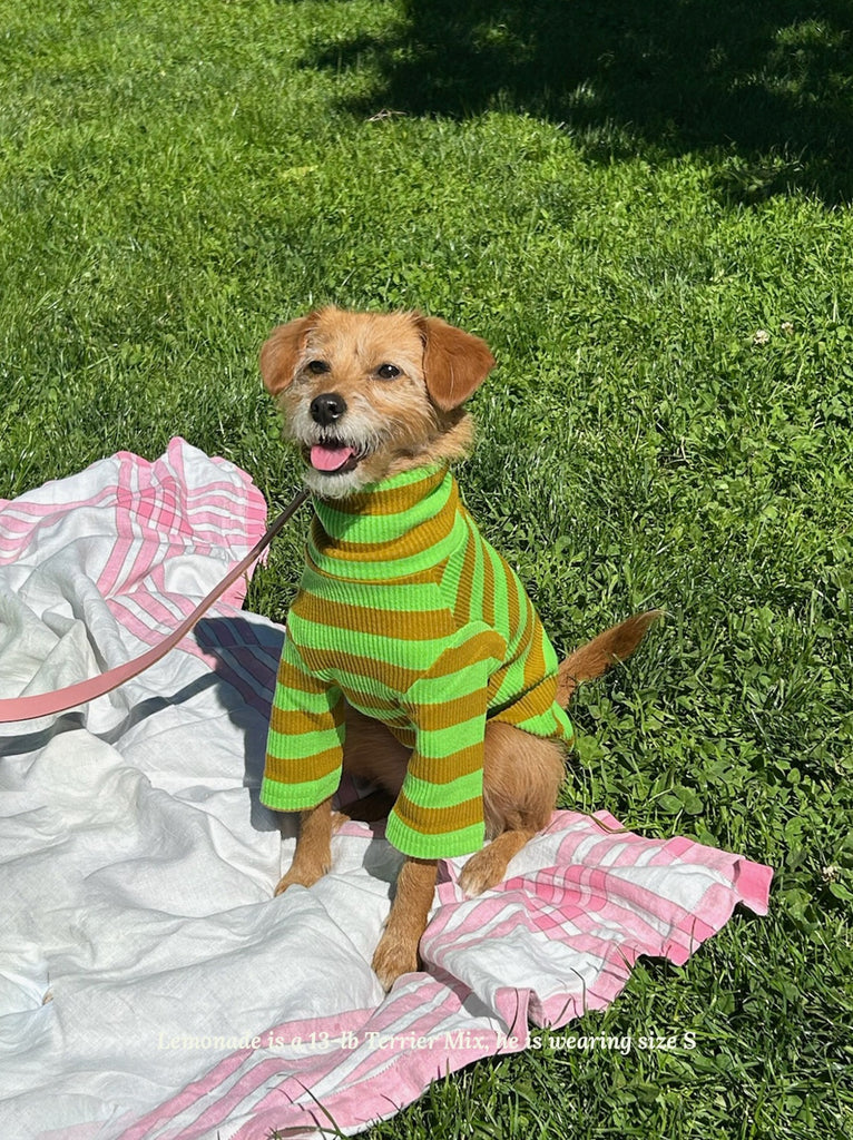Little Beast Dog Stripe Shirt Fresh Grass Shirt
